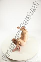 Fighting reference poses of Peter